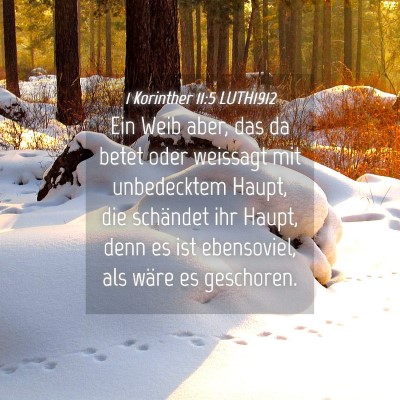 Picture 04 - 1 Korinther 11:5 LUTH1912 - Ein Weib aber, das da betet oder weissagt mit - Bible Verse Picture