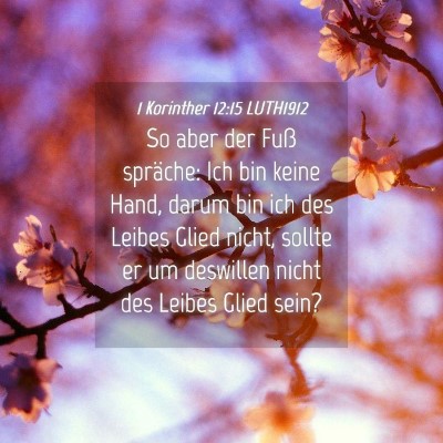 Picture 04 - 1 Korinther 12:15 LUTH1912 - So aber der Fuß spräche: Ich bin keine Hand, - Bible Verse Picture