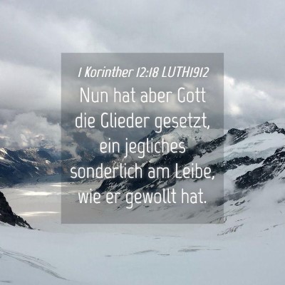 Picture 04 - 1 Korinther 12:18 LUTH1912 - Nun hat aber Gott die Glieder gesetzt, ein - Bible Verse Picture