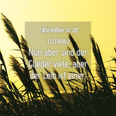 Picture 04 - 1 Korinther 12:20 LUTH1912 - Nun aber sind der Glieder viele; aber der Leib - Bible Verse Picture