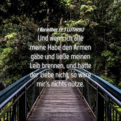 Picture 04 - 1 Korinther 13:3 LUTH1912 - Und wenn ich alle meine Habe den Armen gäbe und - Bible Verse Picture