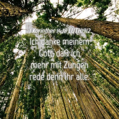 Picture 04 - 1 Korinther 14:18 LUTH1912 - Ich danke meinem Gott, daß ich mehr mit Zungen - Bible Verse Picture