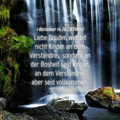 Picture 04 - 1 Korinther 14:20 LUTH1912 - Liebe Brüder, werdet nicht Kinder an dem - Bible Verse Picture