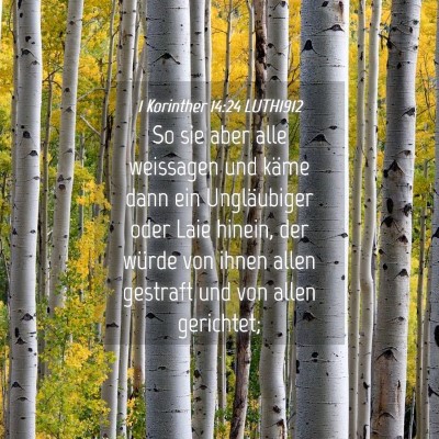 Picture 04 - 1 Korinther 14:24 LUTH1912 - So sie aber alle weissagen und käme dann ein - Bible Verse Picture