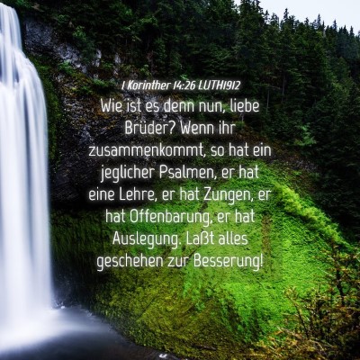 Picture 04 - 1 Korinther 14:26 LUTH1912 - Wie ist es denn nun, liebe Brüder? Wenn ihr - Bible Verse Picture