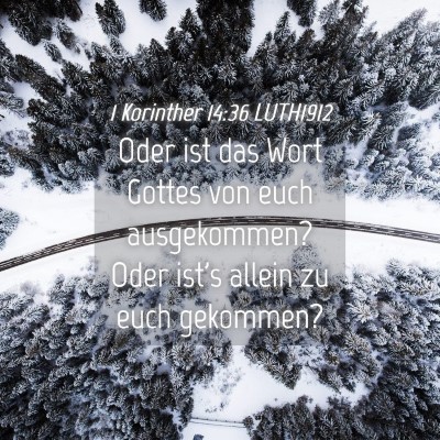 Picture 04 - 1 Korinther 14:36 LUTH1912 - Oder ist das Wort Gottes von euch ausgekommen? - Bible Verse Picture