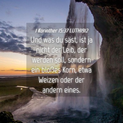 Picture 04 - 1 Korinther 15:37 LUTH1912 - Und was du säst, ist ja nicht der Leib, der - Bible Verse Picture