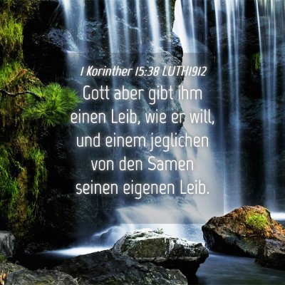 Picture 04 - 1 Korinther 15:38 LUTH1912 - Gott aber gibt ihm einen Leib, wie er will, und - Bible Verse Picture