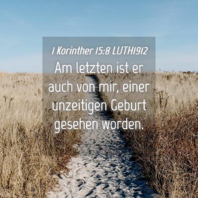 Picture 04 - 1 Korinther 15:8 LUTH1912 - Am letzten ist er auch von mir, einer unzeitigen - Bible Verse Picture