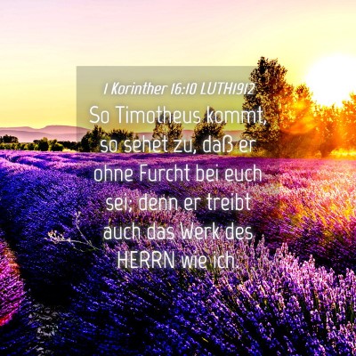 Picture 04 - 1 Korinther 16:10 LUTH1912 - So Timotheus kommt, so sehet zu, daß er ohne - Bible Verse Picture