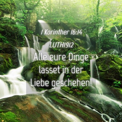 Picture 04 - 1 Korinther 16:14 LUTH1912 - Alle eure Dinge lasset in der Liebe - Bible Verse Picture