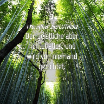 Picture 04 - 1 Korinther 2:15 LUTH1912 - Der geistliche aber richtet alles, und wird von - Bible Verse Picture