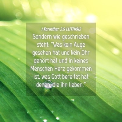Picture 04 - 1 Korinther 2:9 LUTH1912 - Sondern wie geschrieben steht: “Was kein Auge - Bible Verse Picture