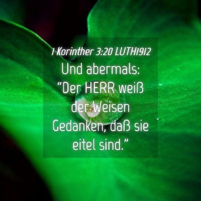 Picture 04 - 1 Korinther 3:20 LUTH1912 - Und abermals: “Der HERR weiß der Weisen - Bible Verse Picture