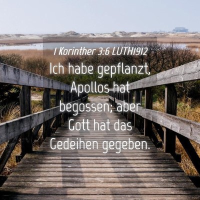 Picture 04 - 1 Korinther 3:6 LUTH1912 - Ich habe gepflanzt, Apollos hat begossen; aber - Bible Verse Picture