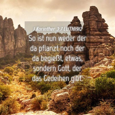 Picture 04 - 1 Korinther 3:7 LUTH1912 - So ist nun weder der da pflanzt noch der da - Bible Verse Picture