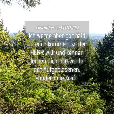 Picture 04 - 1 Korinther 4:19 LUTH1912 - Ich werde aber gar bald zu euch kommen, so der - Bible Verse Picture