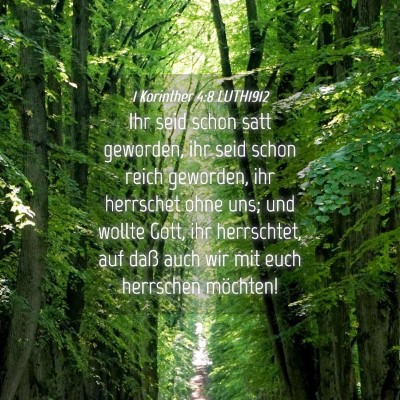 Picture 04 - 1 Korinther 4:8 LUTH1912 - Ihr seid schon satt geworden, ihr seid schon - Bible Verse Picture