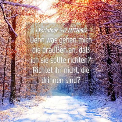 Picture 04 - 1 Korinther 5:12 LUTH1912 - Denn was gehen mich die draußen an, daß ich sie - Bible Verse Picture