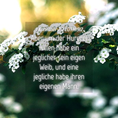 Picture 04 - 1 Korinther 7:2 LUTH1912 - Aber um der Hurerei willen habe ein jeglicher - Bible Verse Picture