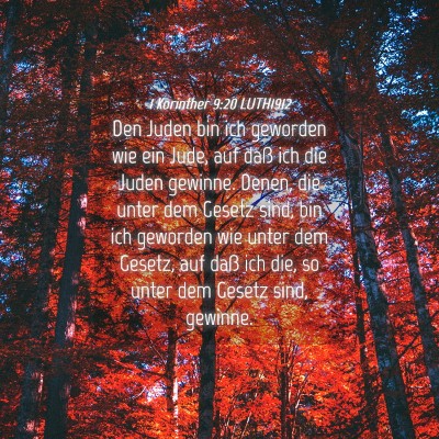 Picture 04 - 1 Korinther 9:20 LUTH1912 - Den Juden bin ich geworden wie ein Jude, auf daß - Bible Verse Picture