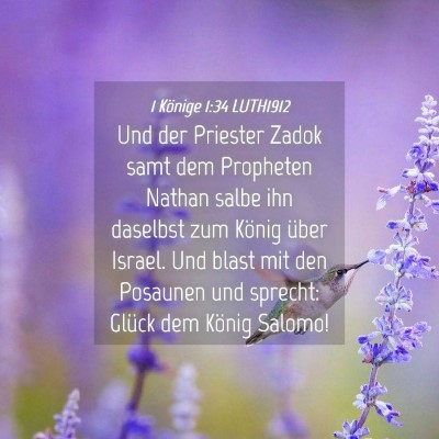 Picture 04 - 1 Könige 1:34 LUTH1912 - Und der Priester Zadok samt dem Propheten Nathan - Bible Verse Picture