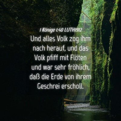 Picture 04 - 1 Könige 1:40 LUTH1912 - Und alles Volk zog ihm nach herauf, und das Volk - Bible Verse Picture
