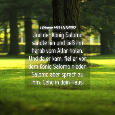 Picture 04 - 1 Könige 1:53 LUTH1912 - Und der König Salomo sandte hin und ließ ihn - Bible Verse Picture