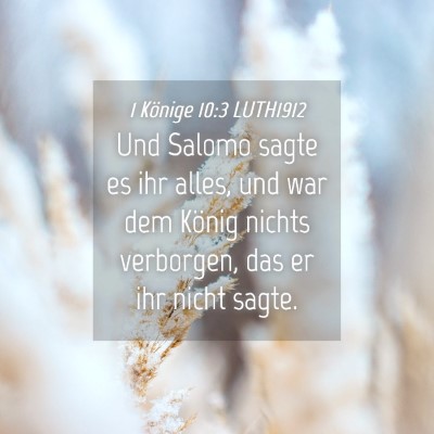Picture 04 - 1 Könige 10:3 LUTH1912 - Und Salomo sagte es ihr alles, und war dem König - Bible Verse Picture