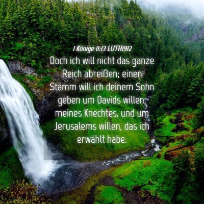 Picture 04 - 1 Könige 11:13 LUTH1912 - Doch ich will nicht das ganze Reich abreißen; - Bible Verse Picture