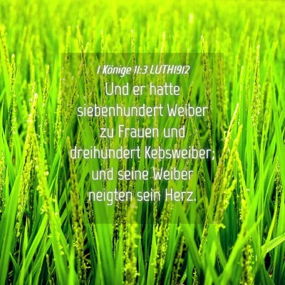 Picture 04 - 1 Könige 11:3 LUTH1912 - Und er hatte siebenhundert Weiber zu Frauen und - Bible Verse Picture