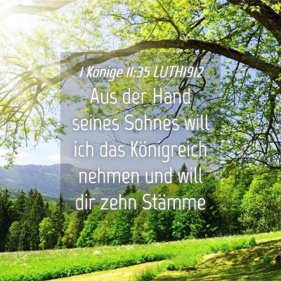 Picture 04 - 1 Könige 11:35 LUTH1912 - Aus der Hand seines Sohnes will ich das - Bible Verse Picture
