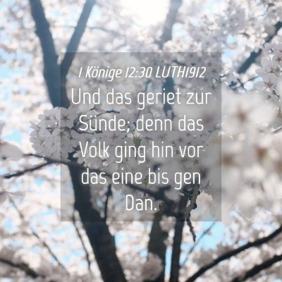 Picture 04 - 1 Könige 12:30 LUTH1912 - Und das geriet zur Sünde; denn das Volk ging hin - Bible Verse Picture