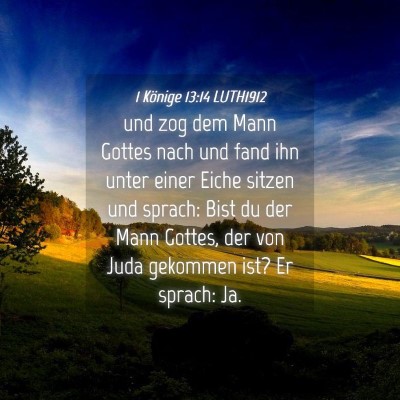Picture 04 - 1 Könige 13:14 LUTH1912 - und zog dem Mann Gottes nach und fand ihn unter - Bible Verse Picture