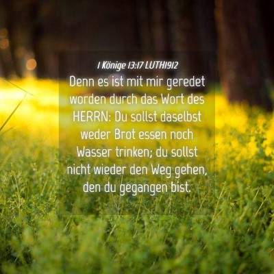 Picture 04 - 1 Könige 13:17 LUTH1912 - Denn es ist mit mir geredet worden durch das Wort - Bible Verse Picture