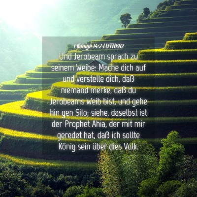 Picture 04 - 1 Könige 14:2 LUTH1912 - Und Jerobeam sprach zu seinem Weibe: Mache dich - Bible Verse Picture