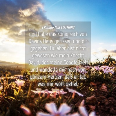 Picture 04 - 1 Könige 14:8 LUTH1912 - und habe das Königreich von Davids Haus gerissen - Bible Verse Picture