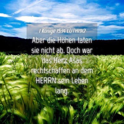 Picture 04 - 1 Könige 15:14 LUTH1912 - Aber die Höhen taten sie nicht ab. Doch war das - Bible Verse Picture