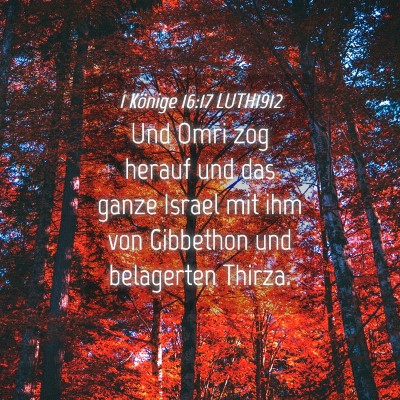 Picture 04 - 1 Könige 16:17 LUTH1912 - Und Omri zog herauf und das ganze Israel mit ihm - Bible Verse Picture