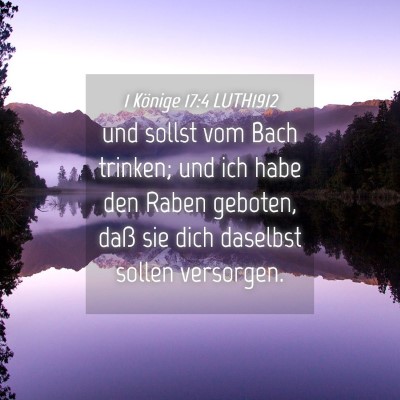 Picture 04 - 1 Könige 17:4 LUTH1912 - und sollst vom Bach trinken; und ich habe den - Bible Verse Picture