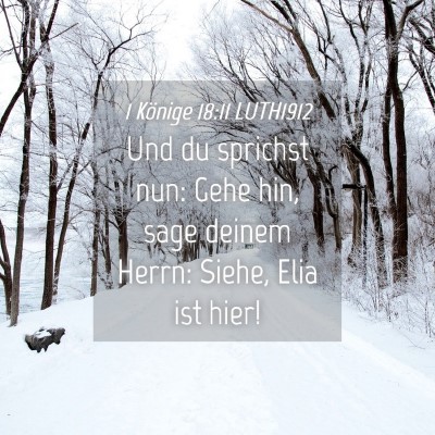 Picture 04 - 1 Könige 18:11 LUTH1912 - Und du sprichst nun: Gehe hin, sage deinem Herrn: - Bible Verse Picture