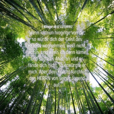 Picture 04 - 1 Könige 18:12 LUTH1912 - Wenn ich nun hinginge von dir, so würde dich der - Bible Verse Picture
