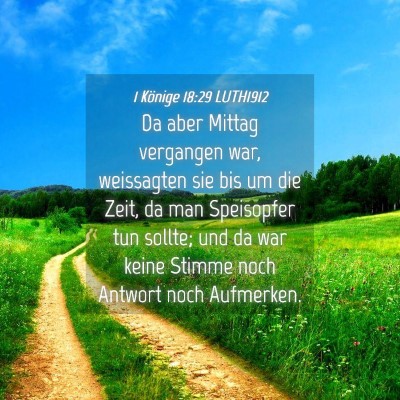 Picture 04 - 1 Könige 18:29 LUTH1912 - Da aber Mittag vergangen war, weissagten sie bis - Bible Verse Picture