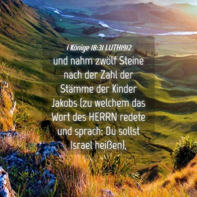 Picture 04 - 1 Könige 18:31 LUTH1912 - und nahm zwölf Steine nach der Zahl der Stämme - Bible Verse Picture