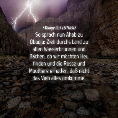 Picture 04 - 1 Könige 18:5 LUTH1912 - So sprach nun Ahab zu Obadja: Zieh durchs Land zu - Bible Verse Picture