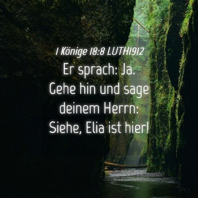 Picture 04 - 1 Könige 18:8 LUTH1912 - Er sprach: Ja. Gehe hin und sage deinem Herrn: - Bible Verse Picture
