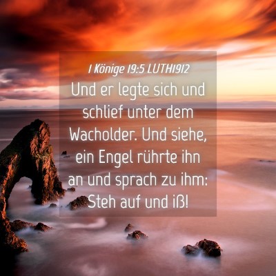 Picture 04 - 1 Könige 19:5 LUTH1912 - Und er legte sich und schlief unter dem - Bible Verse Picture