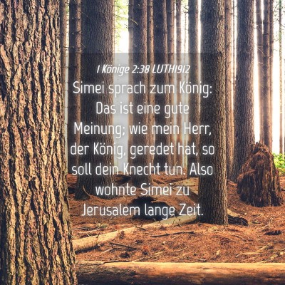 Picture 04 - 1 Könige 2:38 LUTH1912 - Simei sprach zum König: Das ist eine gute - Bible Verse Picture