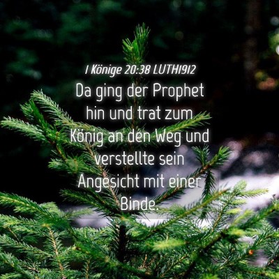 Picture 04 - 1 Könige 20:38 LUTH1912 - Da ging der Prophet hin und trat zum König an - Bible Verse Picture