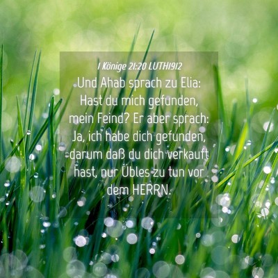 Picture 04 - 1 Könige 21:20 LUTH1912 - Und Ahab sprach zu Elia: Hast du mich gefunden, - Bible Verse Picture